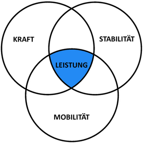 Die 3 Säulen der Medical Fitness