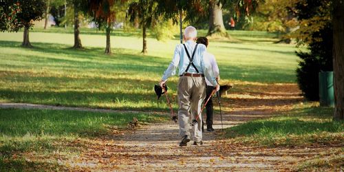 Fit im Alter möchte jeder sein - im Reversus ermöglichen wir es